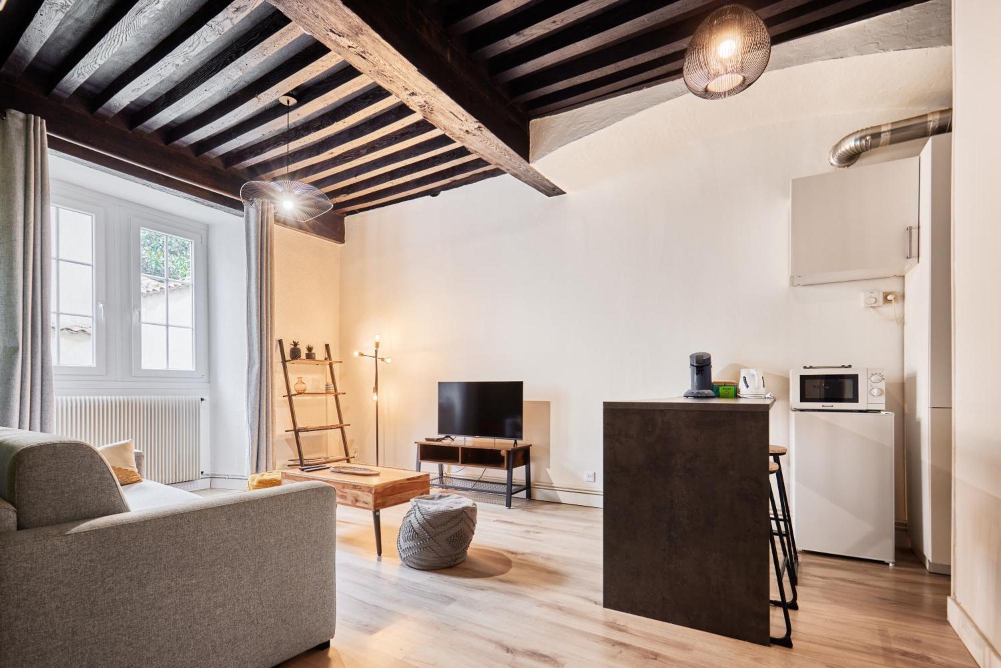 Apartmán L'Authentique Bressan Bourg-en-Bresse Exteriér fotografie